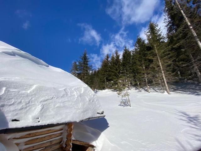 Alpenchalet Grabner Alm am Präbichl Almhauser Exterior foto